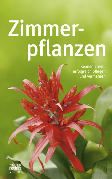 Produktbild: Zimmerpflanzen