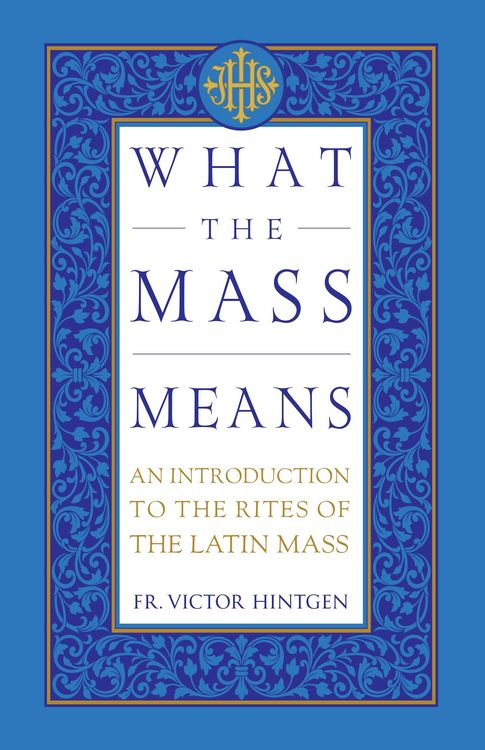 Produktbild: What the Mass Means