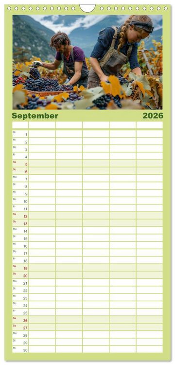 Produktbild: Familienplaner 2026 - Wein begeistert mit 5 Spalten (Wandkalender, 21 x 45 cm) CALVENDO