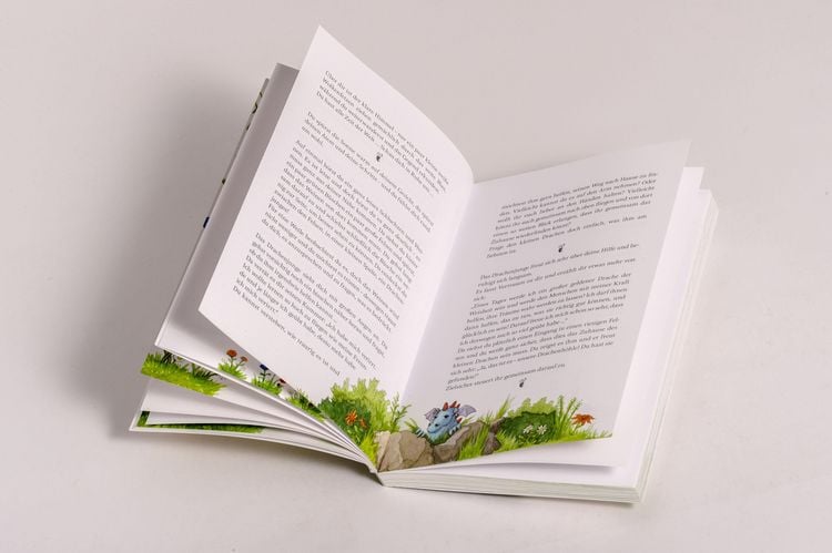 Produktbild: Zauberwald & Zwergenkraft