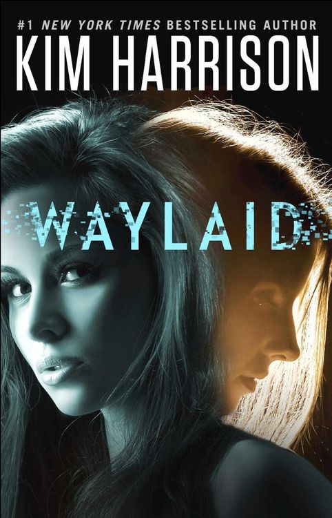 Produktbild: Waylaid