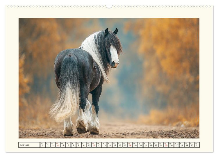 Produktbild: Irish Tinker Liebe. Der robuste Charme der Gypsy Cobs (Wandkalender 2027 DIN A2 quer), CALVENDO Monatskalender
