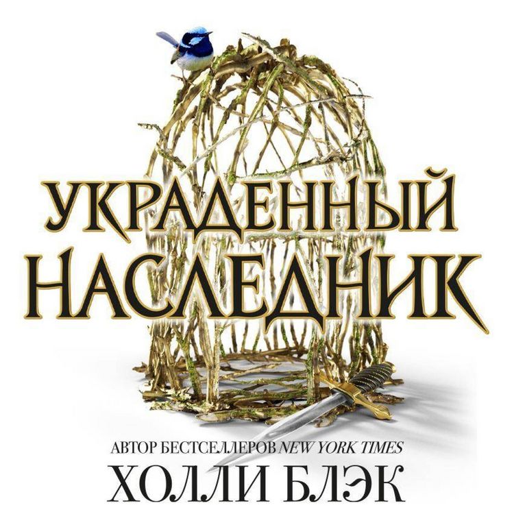 Produktbild: Ukradennyy naslednik