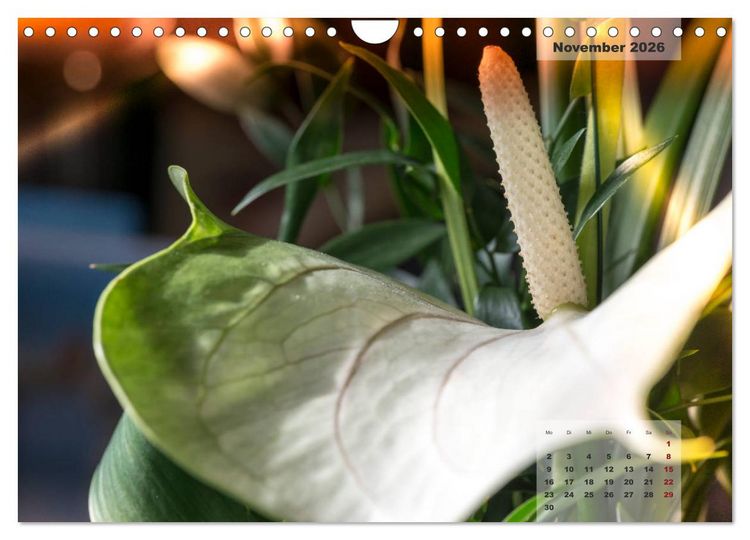 Produktbild: Bl&uuml;ten im Retro-Style (Wandkalender 2026 DIN A4 quer), CALVENDO Monatskalender