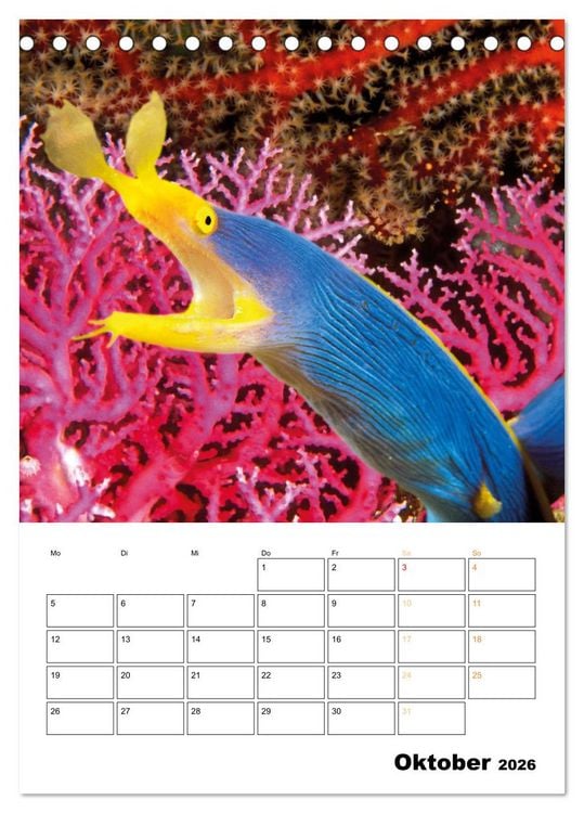 Produktbild: Farbrausch unter Wasser: Fische am Riff (Tischkalender 2026 DIN A5 hoch), CALVENDO Monatskalender