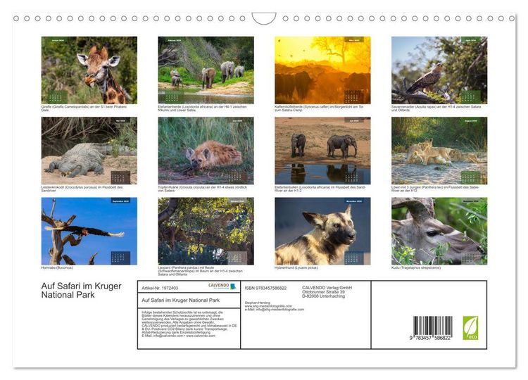 Produktbild: Auf Safari im Kruger National Park (Wandkalender 2026 DIN A3 quer), CALVENDO Monatskalender