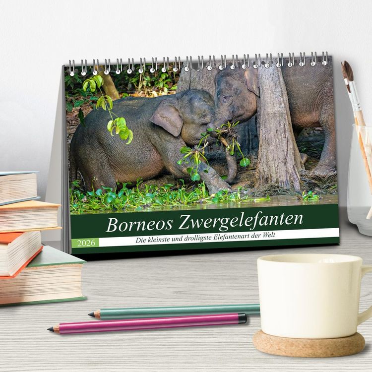 Produktbild: Borneos Zwergelefanten (Tischkalender 2026 DIN A5 quer), CALVENDO Monatskalender