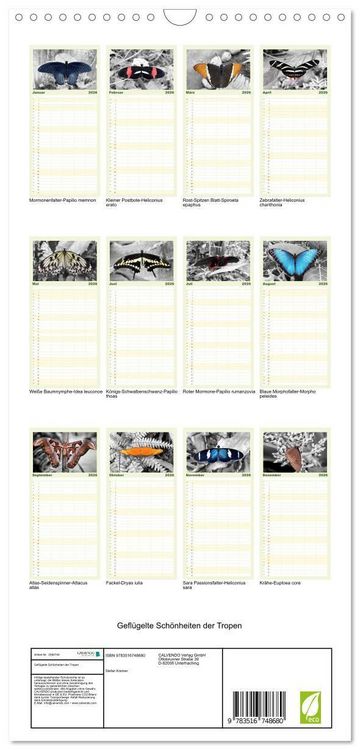 Produktbild: Familienplaner 2026 - Gefl&uuml;gelte Sch&ouml;nheiten der Tropen mit 5 Spalten (Wandkalender, 21 x 45 cm) CALVENDO