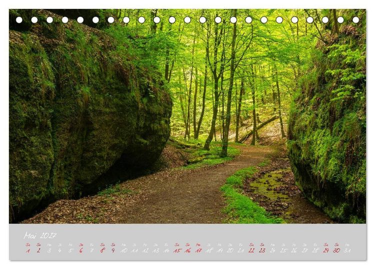 Produktbild: Th&uuml;ringer Wald Das Gr&uuml;ne Herz Deutschlands (Tischkalender 2027 DIN A5 quer), CALVENDO Monatskalender