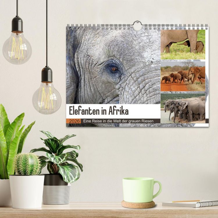 Produktbild: Elefanten in Afrika (Wandkalender 2026 DIN A4 quer), CALVENDO Monatskalender