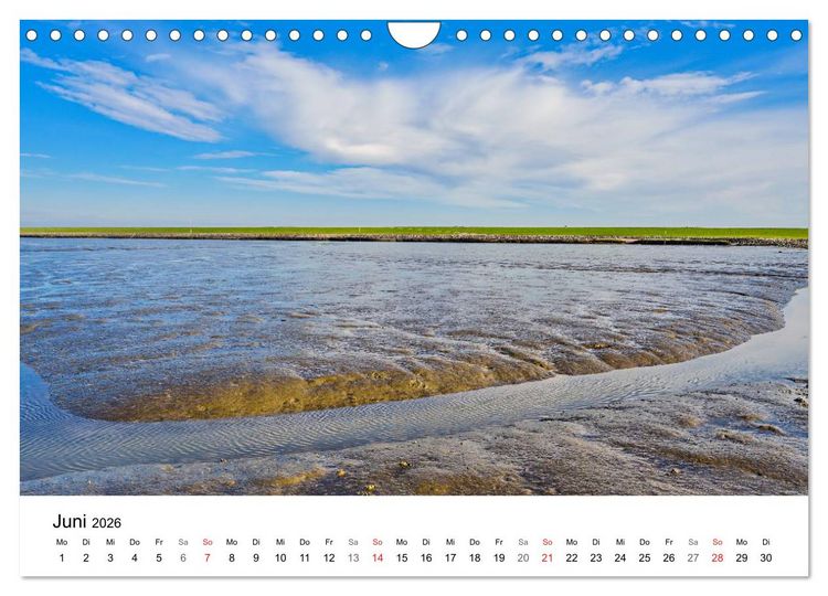 Produktbild: Dithmarschen - Der Landkreis (Wandkalender 2026 DIN A4 quer), CALVENDO Monatskalender