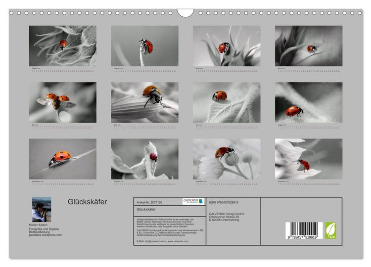 Produktbild: Gl&uuml;cksk&auml;fer (Wandkalender 2026 DIN A3 quer), CALVENDO Monatskalender