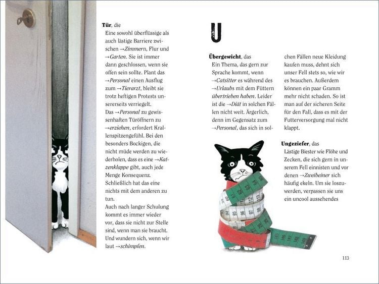 Produktbild: Wie wir Katzen die Welt sehen