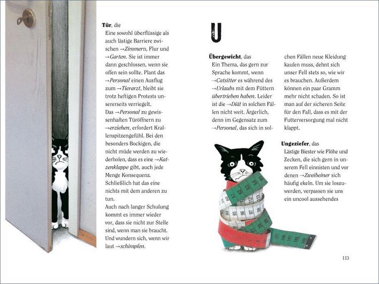 Produktbild: Wie wir Katzen die Welt sehen