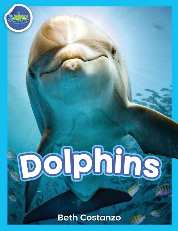 Produktbild: Dolphins!