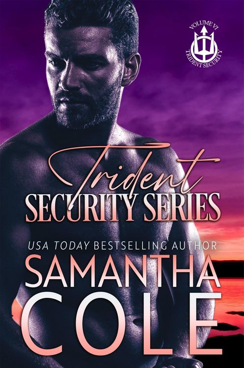 Produktbild: Trident Security Series (Trident Security Series: A Special Collection, #6)