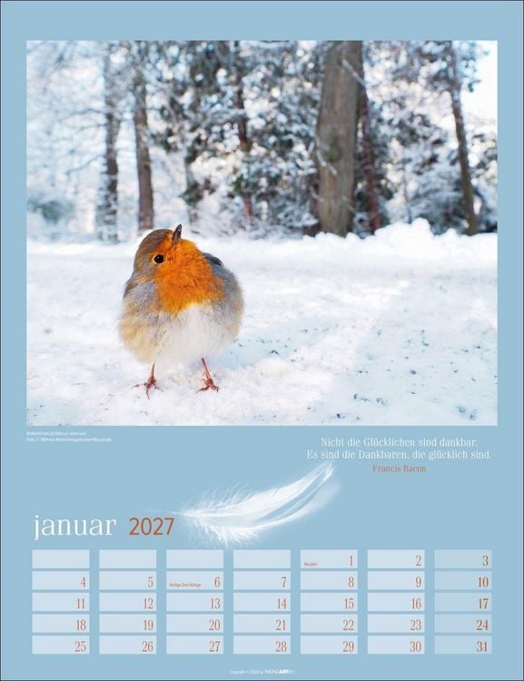Produktbild: Heimische V&ouml;gel Kalender 2027