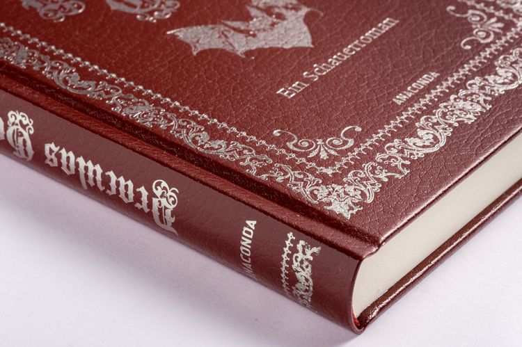 Draculas Gast. Ein Schauerroman mit dem ursprünglich 1. Kapitel von "Dracula"