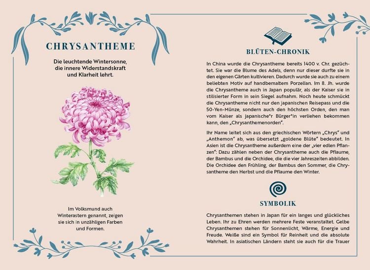 Produktbild: Adventskalender-Kartenset: Bl&uuml;tenwunder