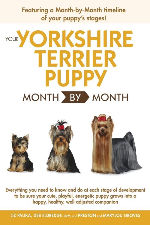Produktbild: Your Yorkshire Terrier Puppy Month by Month