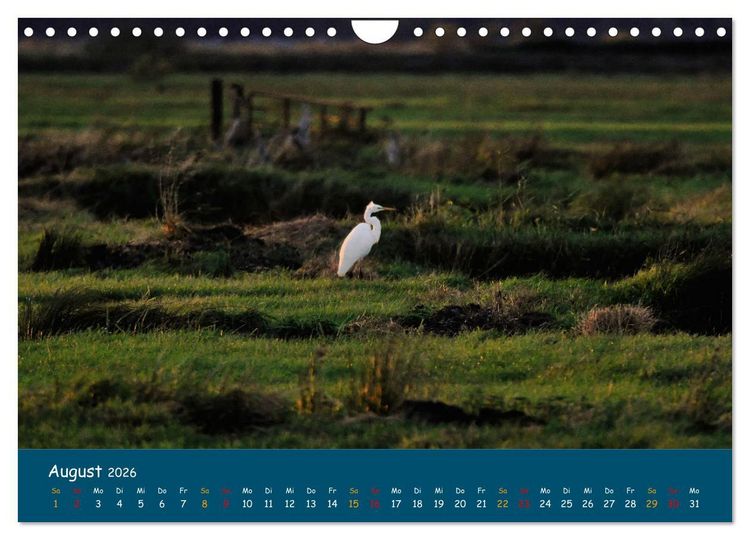 Produktbild: Naturschutzgebiet W&uuml;mme (Wandkalender 2026 DIN A4 quer), CALVENDO Monatskalender