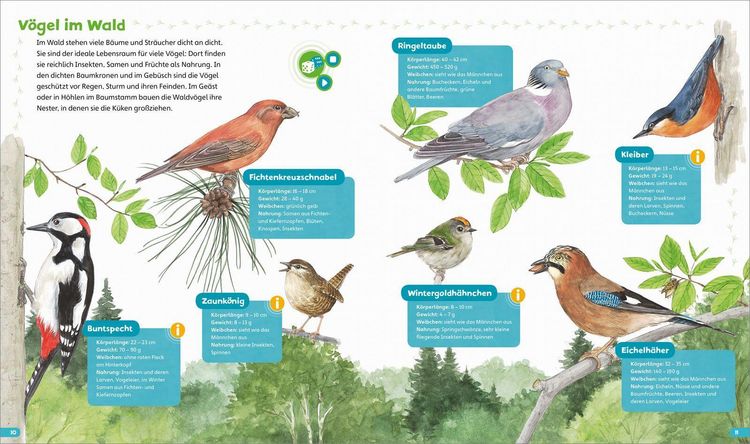 Produktbild: BOOKii&reg; H&ouml;ren und Staunen Heimische V&ouml;gel