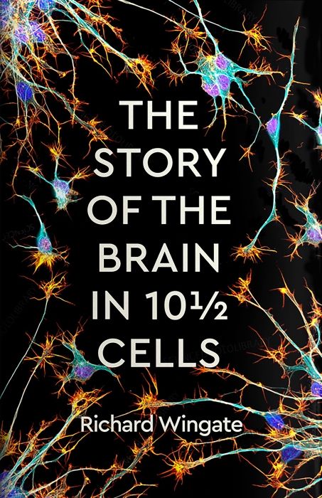 Produktbild: The Story of the Brain in 10&frac12; Cells