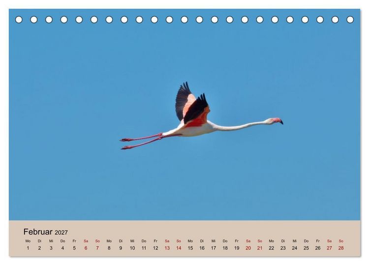 Produktbild: Flamingo und Co - Faszinierende Vogelwelt S&uuml;dfrankreichs (Tischkalender 2027 DIN A5 quer), CALVENDO Monatskalender