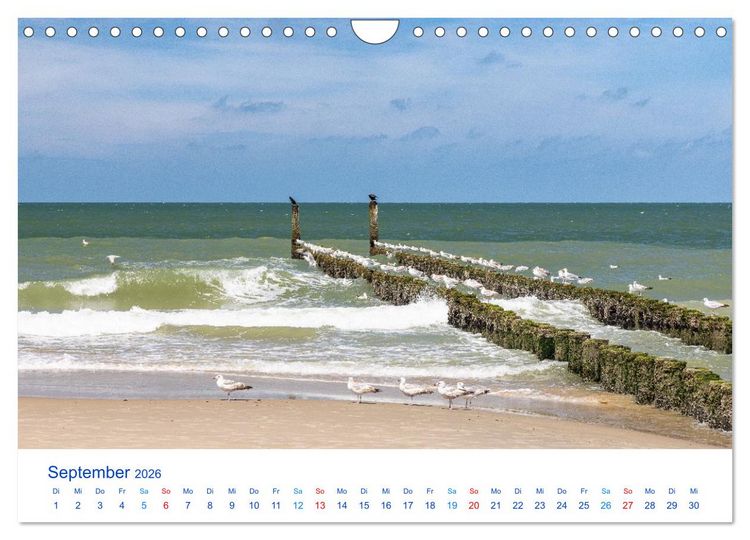 Produktbild: Sommer in Seeland (Wandkalender 2026 DIN A4 quer), CALVENDO Monatskalender