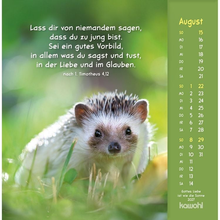 Produktbild: Gottes Liebe ist wie die Sonne 2027