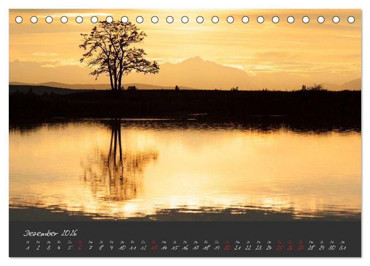 Produktbild: Natur erleben Seewinkel-Neusiedlersee (Tischkalender 2026 DIN A5 quer), CALVENDO Monatskalender