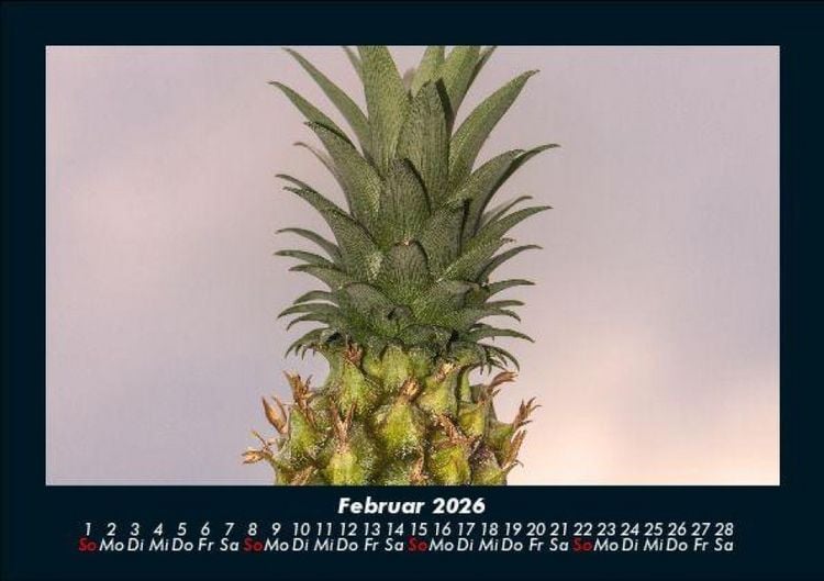 Produktbild: Obstkalender 2026 Fotokalender DIN A5