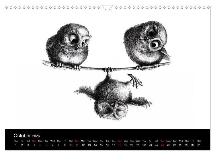 Produktbild: owls & friends 2026 (Wall Calendar 2026 DIN A3 landscape), CALVENDO 12 Month Wall Calendar