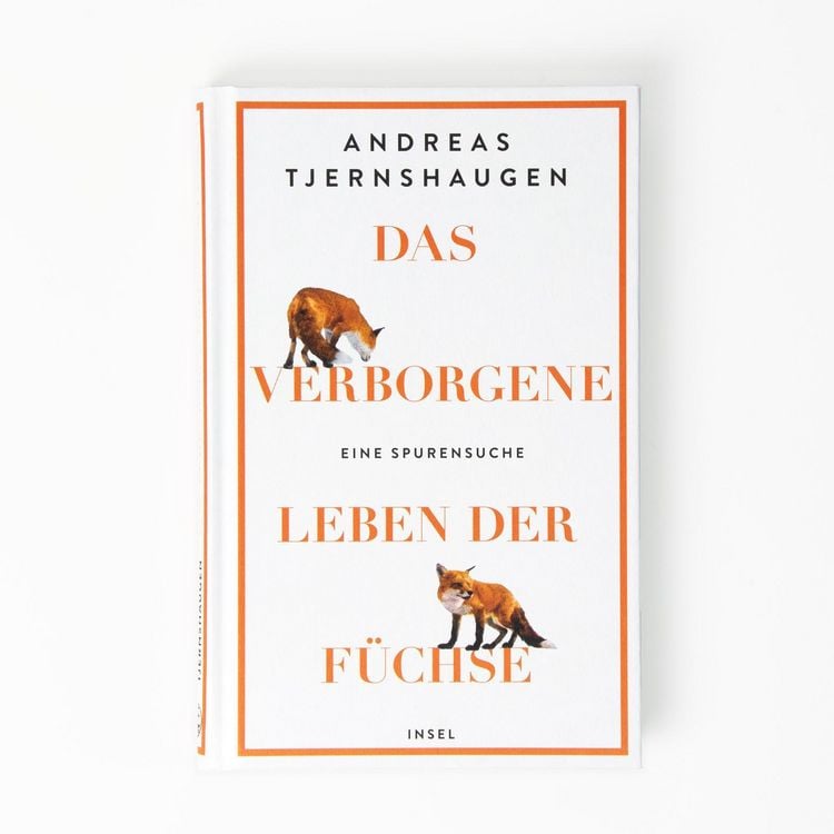 Produktbild: Das verborgene Leben der F&uuml;chse