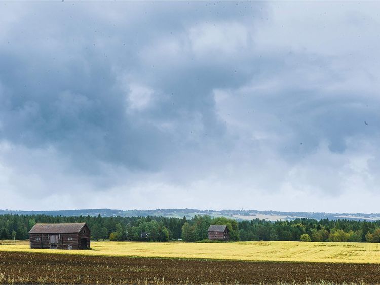 Produktbild: The Nordic Baking Book