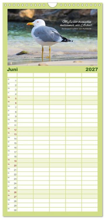 Produktbild: Familienplaner 2027 - Ruhe und Gelassenheit 2027 mit 5 Spalten (Wandkalender, 21 x 45 cm) CALVENDO