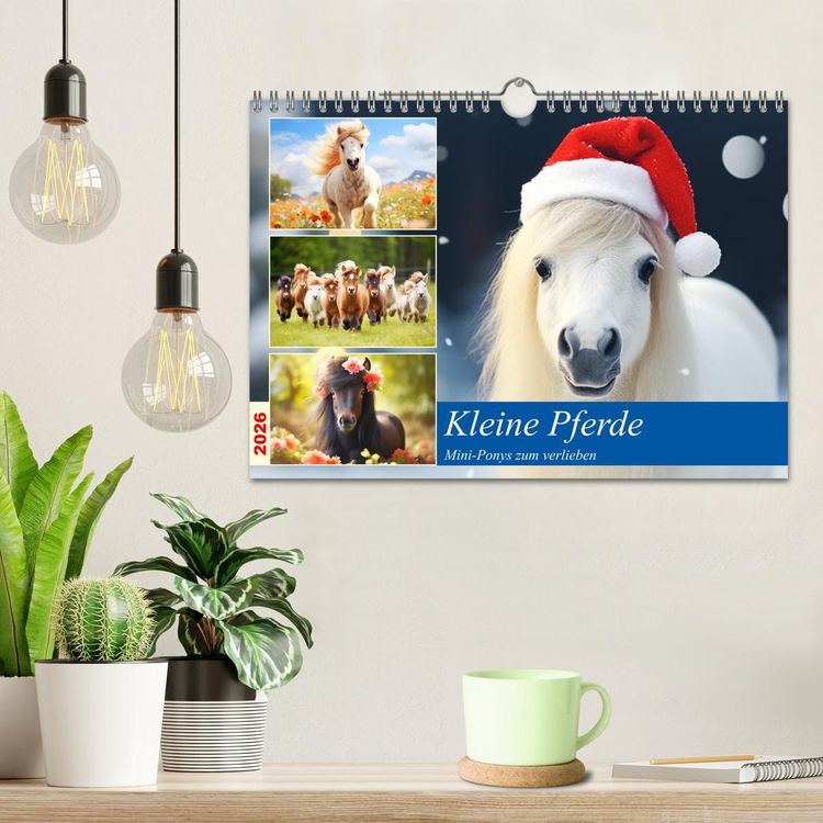 Produktbild: Kleine Pferde. Mini-Ponys zum verlieben (Wandkalender 2026 DIN A4 quer), CALVENDO Monatskalender