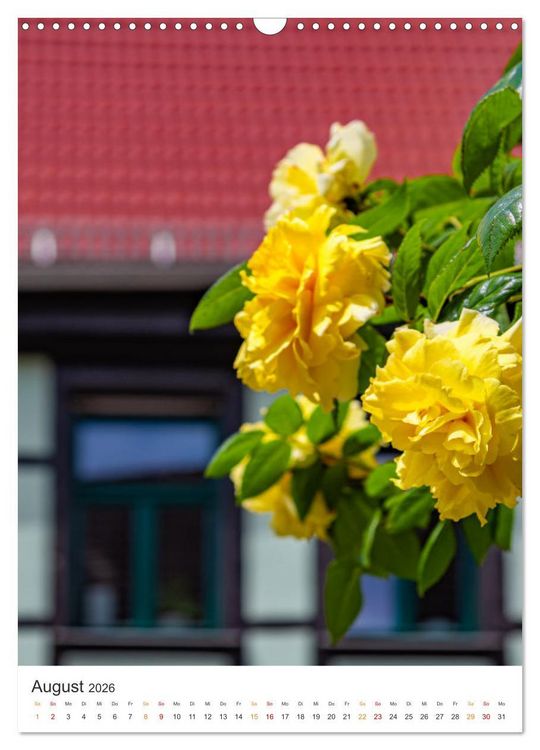 Produktbild: Die Stadt Sangerhausen (Wandkalender 2026 DIN A3 hoch), CALVENDO Monatskalender