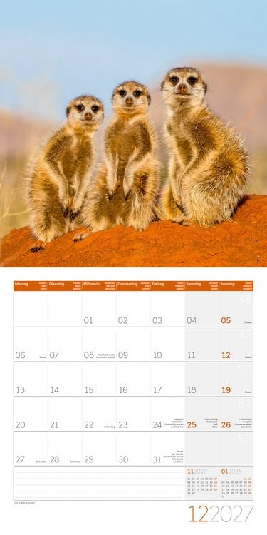 Produktbild: Erdm&auml;nnchen Kalender 2027 - 30x30 - Art12