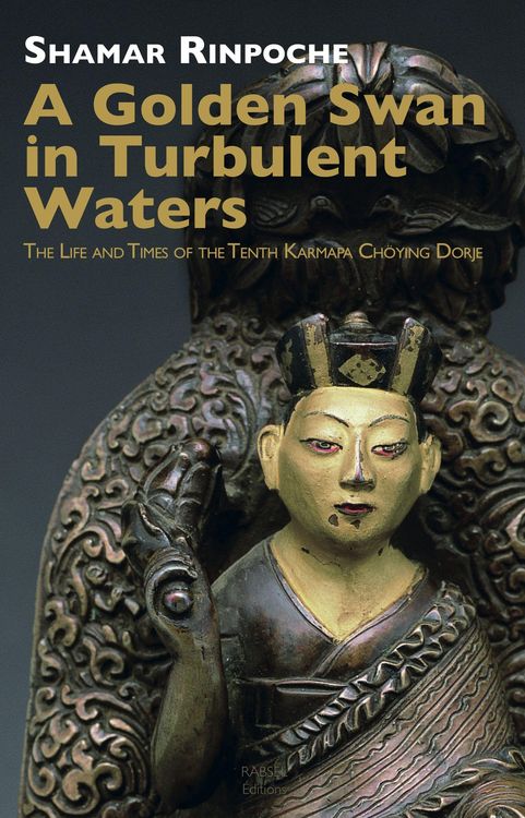 Produktbild: A Golden Swan in Turbulent Waters
