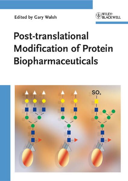 Produktbild: Post-translational Modification of Protein Biopharmaceuticals