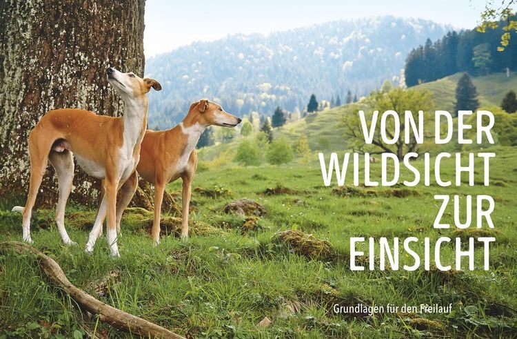 Produktbild: Leinen los! Freilauftraining f&uuml;r den Hund