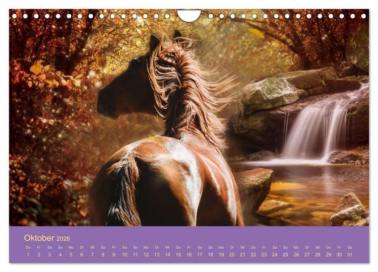 Produktbild: Von der Magie der Pferde (Wandkalender 2026 DIN A4 quer), CALVENDO Monatskalender