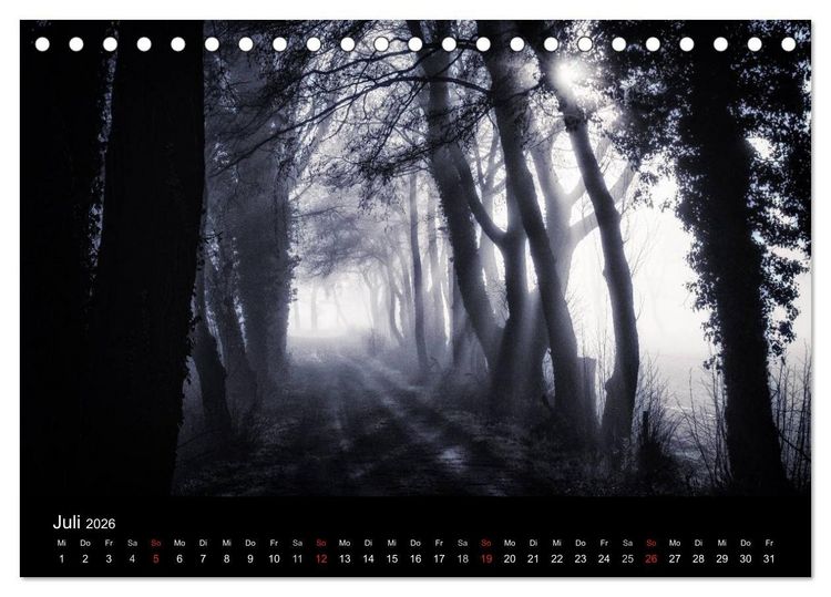 Produktbild: Mystische W&auml;lder (Tischkalender 2026 DIN A5 quer), CALVENDO Monatskalender