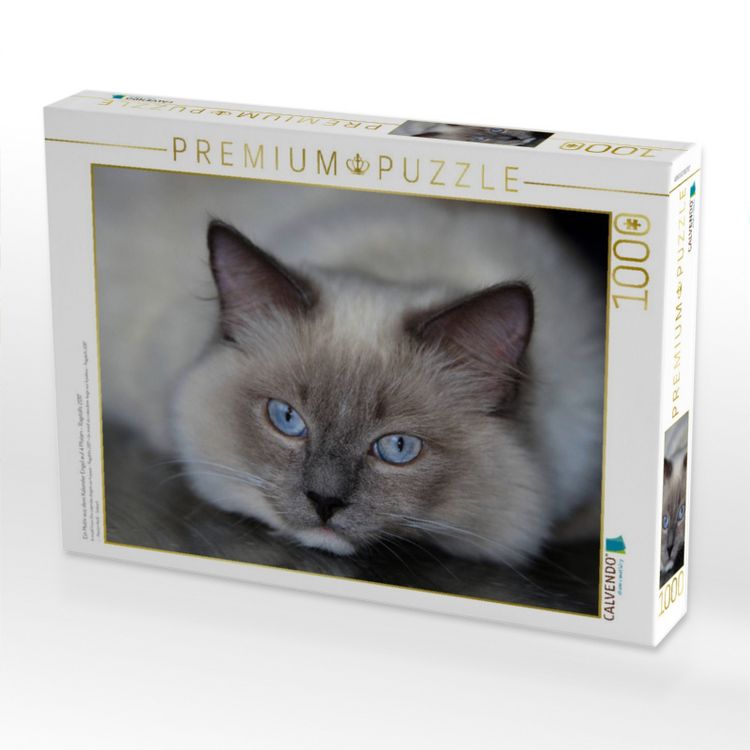 Produktbild: CALVENDO Puzzle Ein Motiv aus dem Kalender Engel auf 4 Pfoten - Ragdolls 2017 | 1000 Teile Lege-Gr&ouml;&szlig;e 64x48cm Foto-Puzzle f&uuml;r gl&uuml;ckliche Stunden