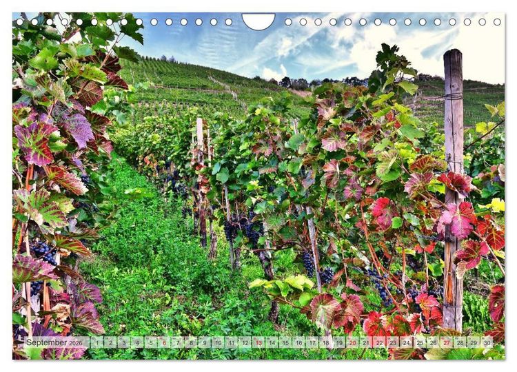 Produktbild: Bildsch&ouml;n - Die Mosel (Wandkalender 2026 DIN A4 quer), CALVENDO Monatskalender