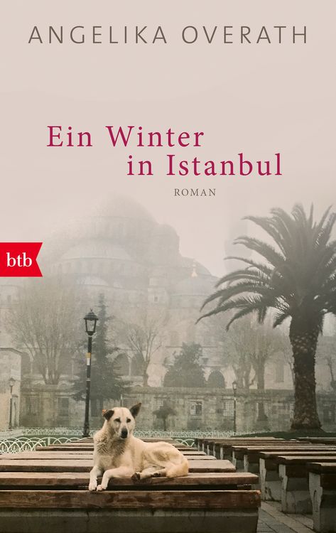 Produktbild: Ein Winter in Istanbul