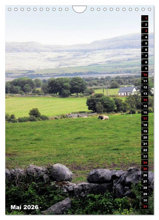 Produktbild: Traumhaftes Irland (Wandkalender 2026 DIN A4 hoch), CALVENDO Monatskalender