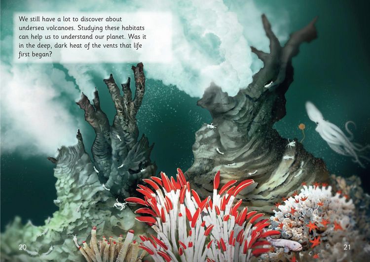Produktbild: Undersea Volcanoes