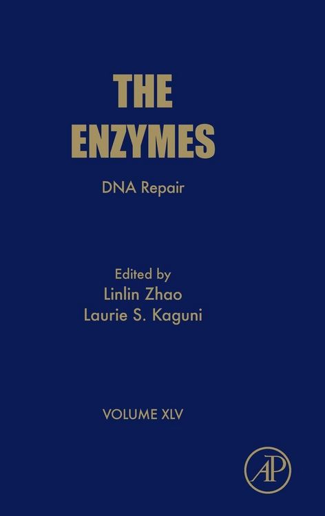 Produktbild: DNA Repair